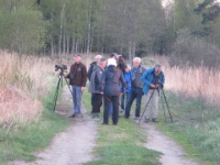 2016-05-08 21h13m17 - Avondexcursie bij veld - Gerda van der Meer